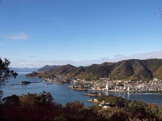 実践！里山資本主義